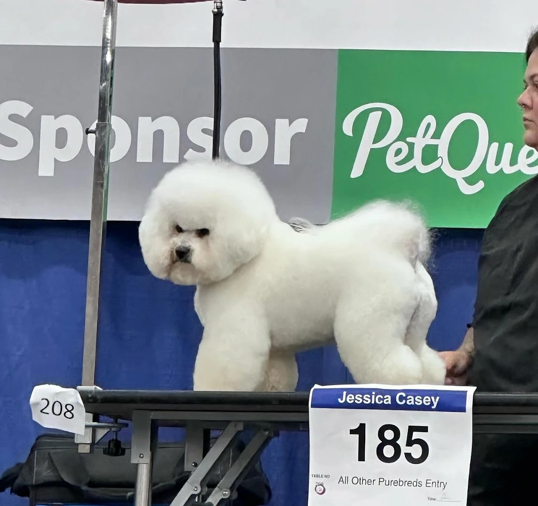 Wüf Pet Spa OTR